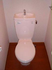 Toilet. It is a simple toilet with a towel rack.