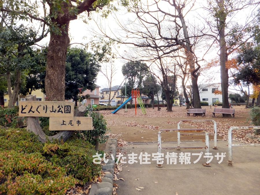 Other. Acorn mountain park