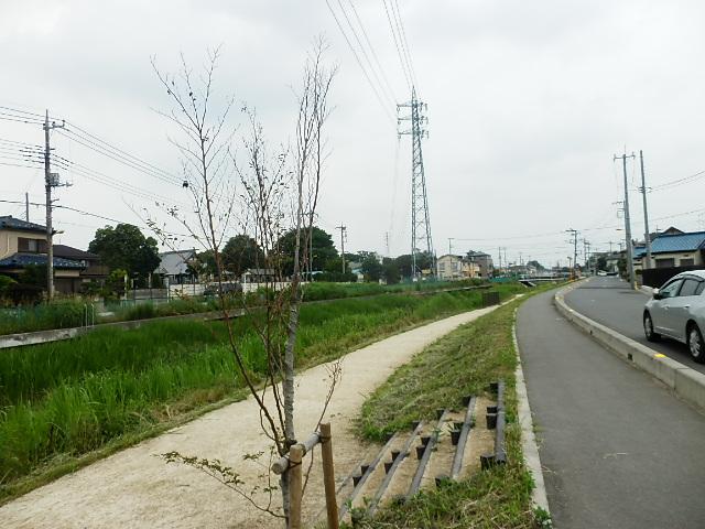 Other. Nearby are equipped also environment that can walk.