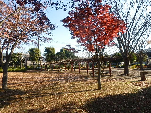 park. 150m to the park
