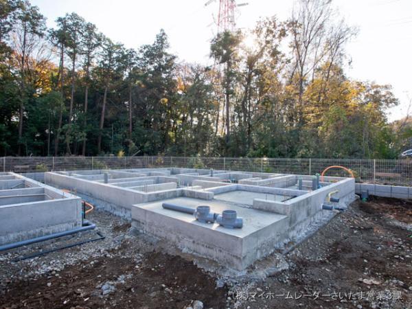 Local appearance photo. 2013 / 12 / 03 shooting 