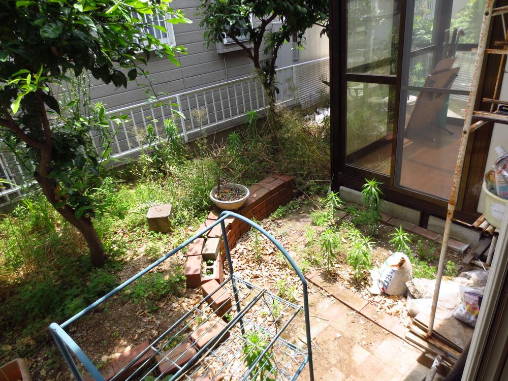 Garden. Local (June 2013) Shooting