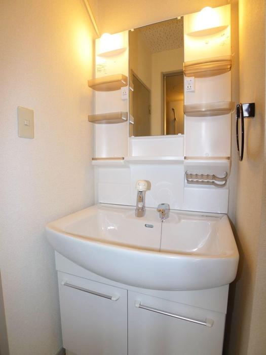 Washroom. Shampoo dresser