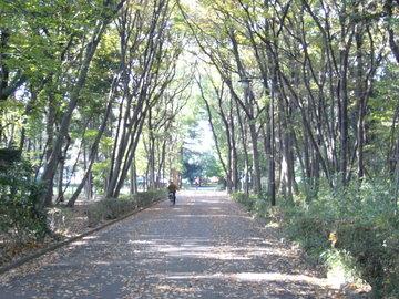 park. 1130m to Saitama Water Park