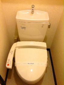 Toilet. It is comfortable in warm water washing toilet seat.