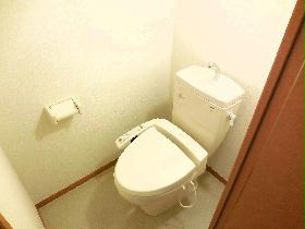 Toilet. Comfortable every day because it is warm water washing toilet seat. 