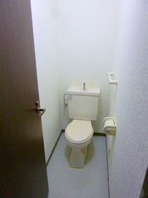 Toilet. Spacious toilet