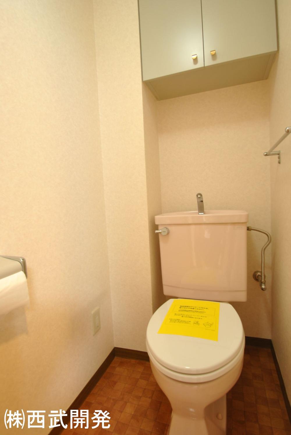 Toilet. Room (May 2013) Shooting