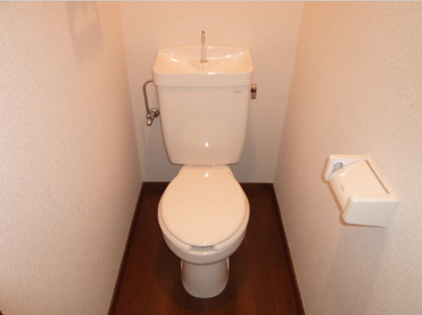 Toilet. The same type, Is another of the room.