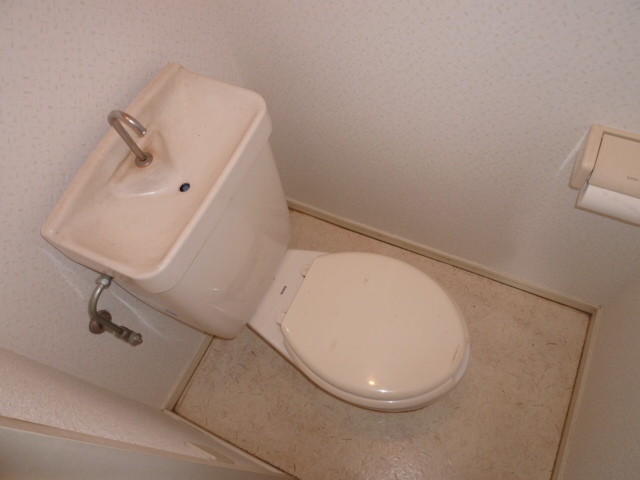 Toilet. It is a photograph of another room