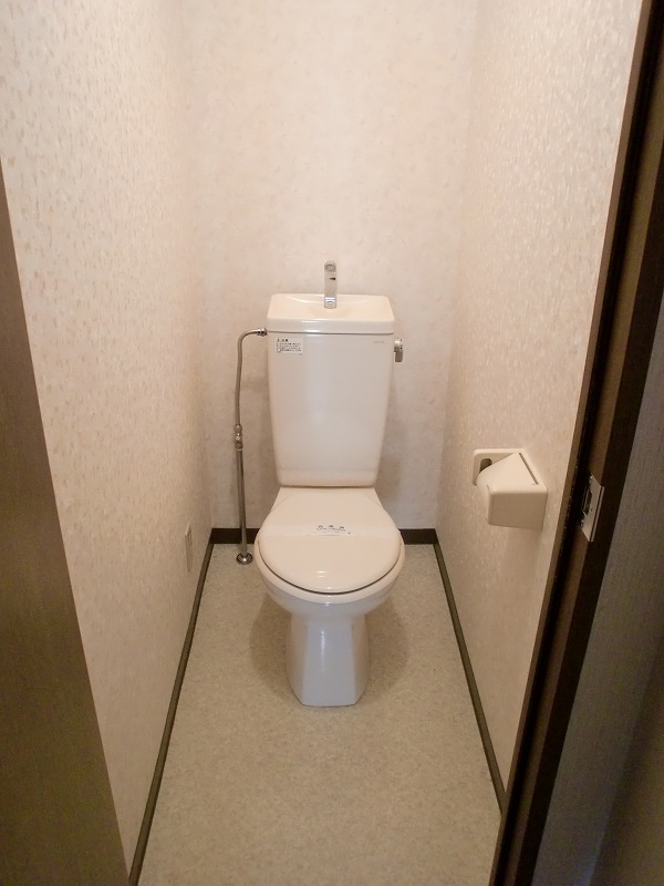 Toilet. Reference photograph