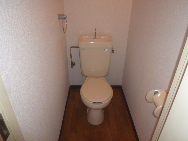 Toilet. It is a photograph of another room