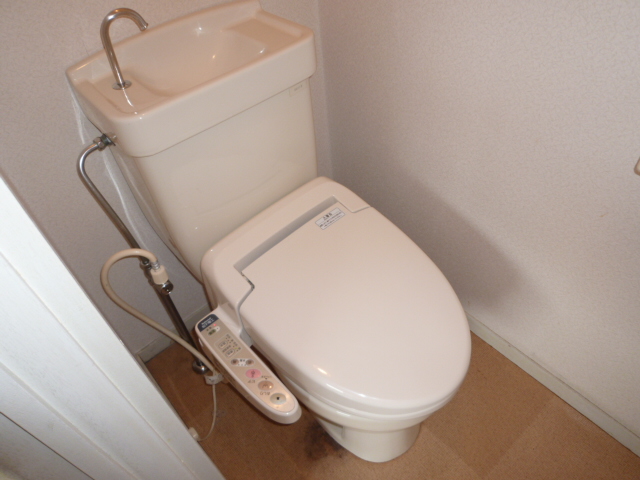 Toilet. It is a photograph of another room