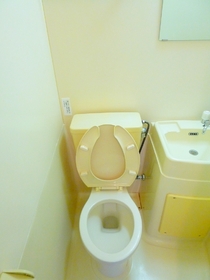 Toilet. Toilet