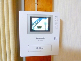 Other Equipment. Peace of mind intercom with a TV monitor