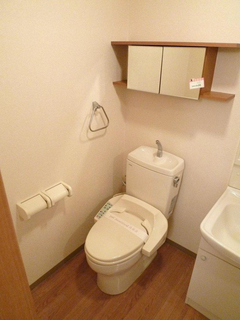 Toilet. Reference photograph