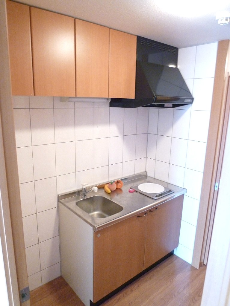 Kitchen. Is another room of the same properties