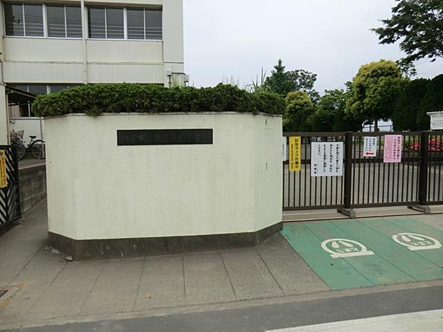 Primary school. Ninth to elementary school 1350m