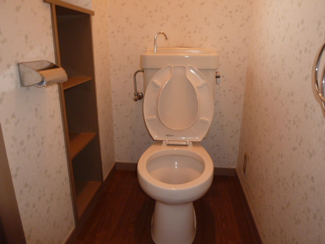 Toilet. It is a photograph of another room