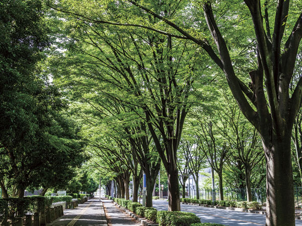 Surrounding environment. Koen-dori of Asaka Central Park (about 490m / 7-minute walk)