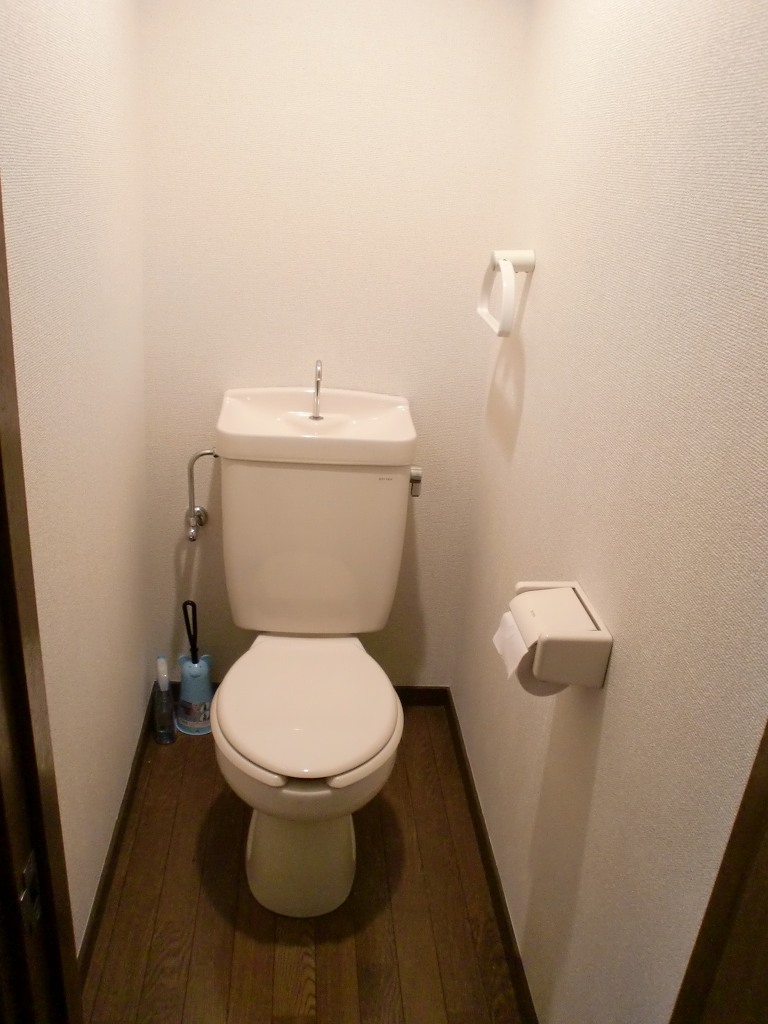 Toilet. Reference photograph