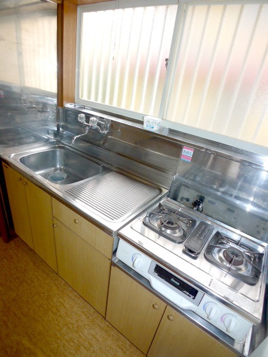 Kitchen. There stove of the remaining feature