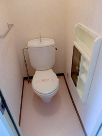 Toilet. Toilet with a paper folder