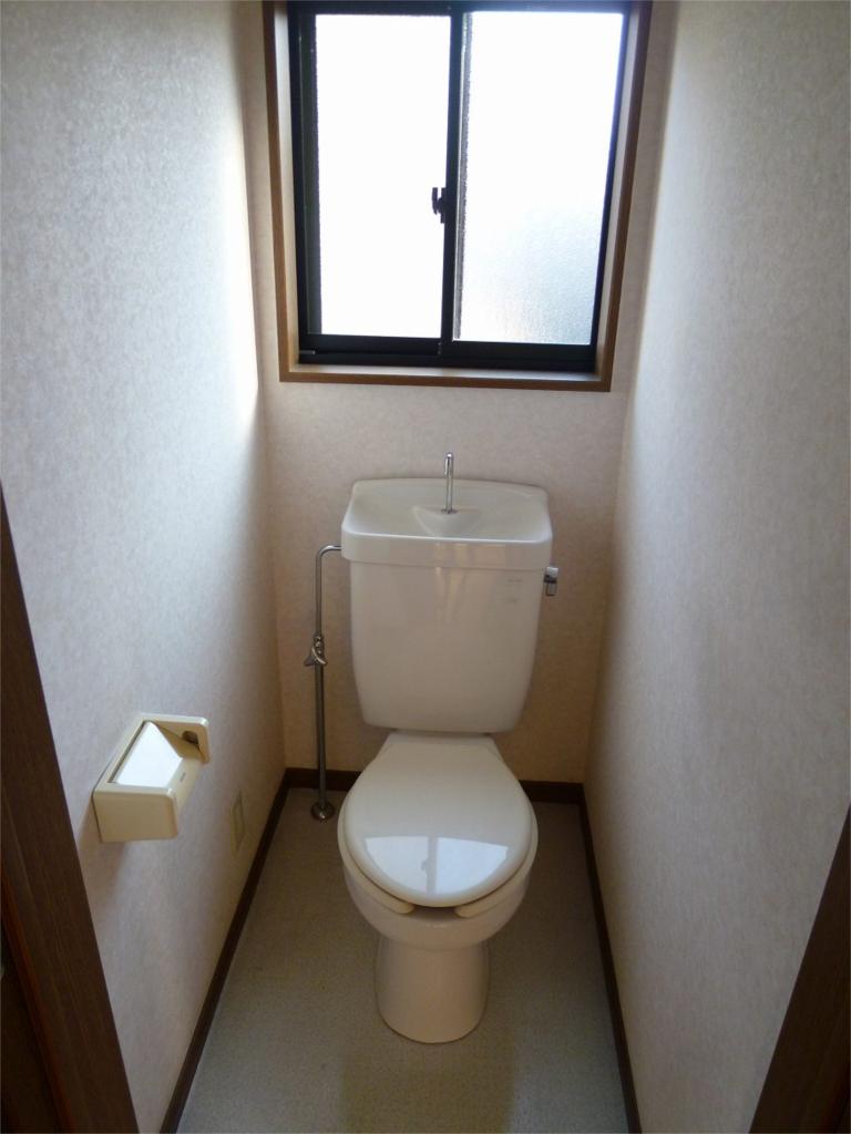 Toilet. Reference photograph