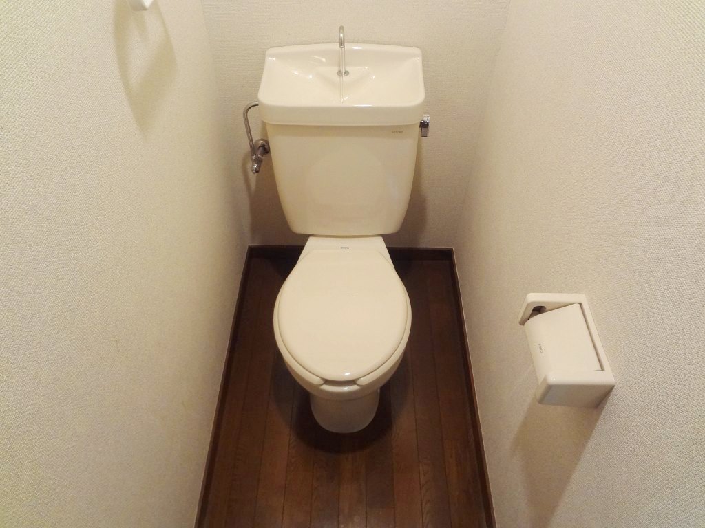 Toilet. Reference photograph