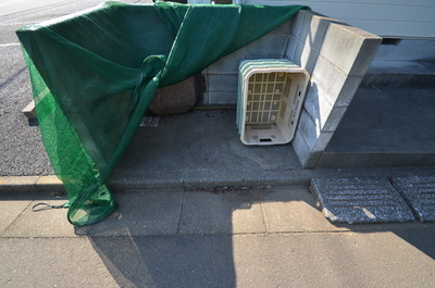 Other common areas. On-site waste yard