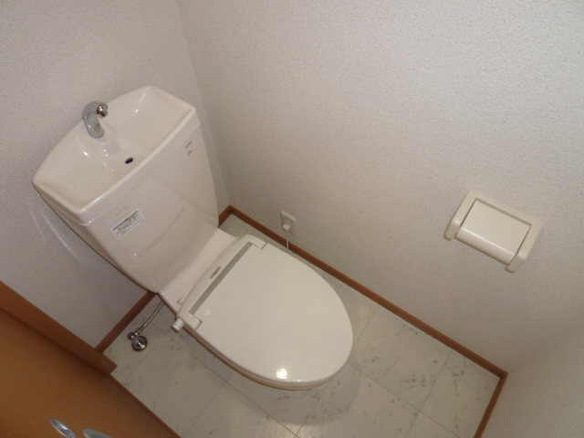 Toilet. It is a photograph of another room