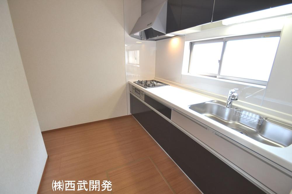 Kitchen. Indoor (12 May 2013) Shooting