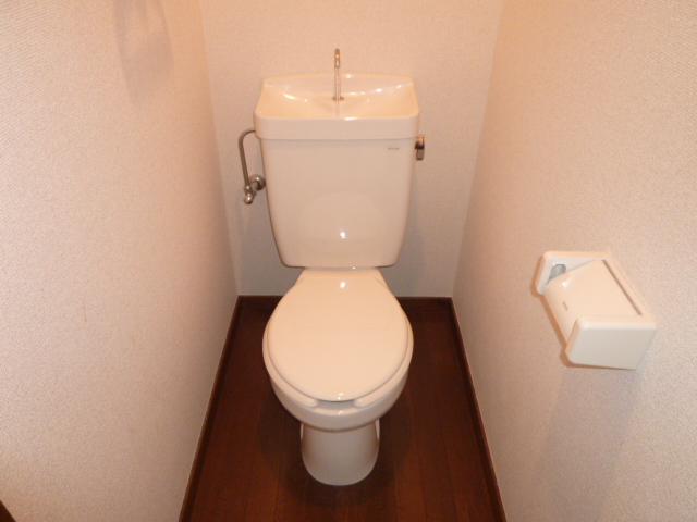 Toilet. It is a photograph of another room