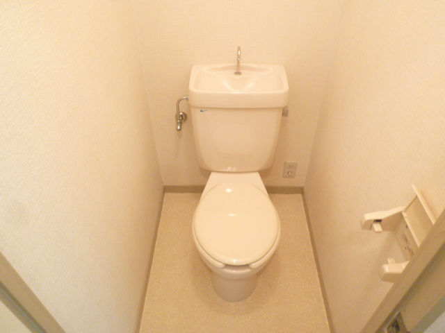 Toilet. It is a photograph of another room