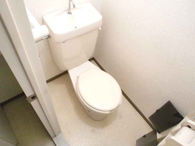 Toilet. Reference photograph