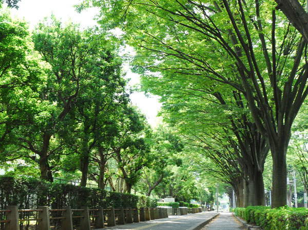Surrounding environment. Local neighborhood streets (380m ・ A 5-minute walk)