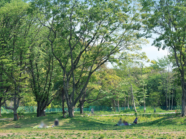Surrounding environment. Asaka of forest (360m ・ A 5-minute walk)