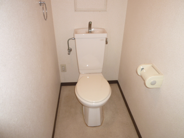 Toilet. It is a photograph of another room