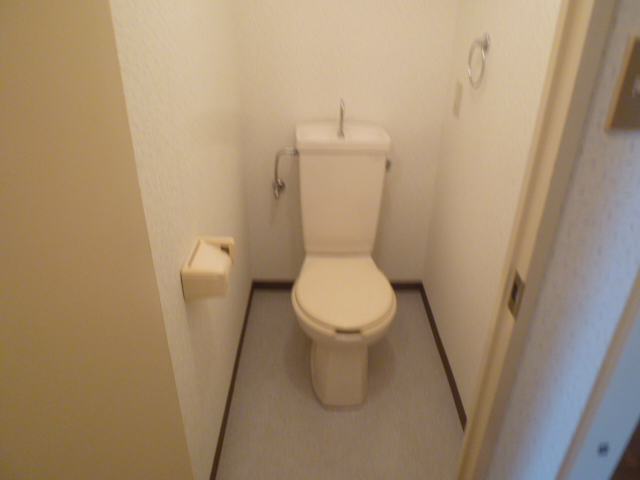 Toilet. It is a photograph of a different type of room