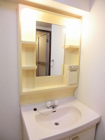 Washroom. Easy-to-use vanity