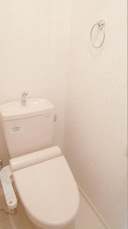 Toilet. Indoor (12 May 2012) shooting