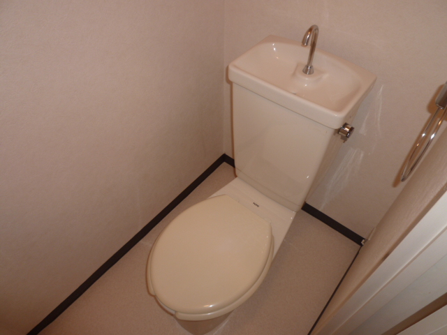 Toilet. It is a photograph of another room.