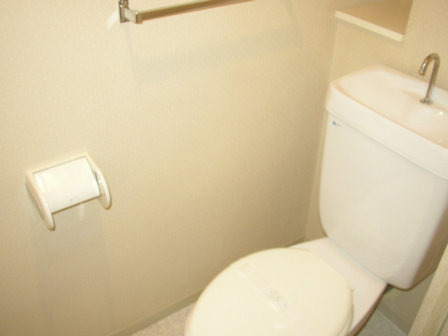 Toilet. It is a photograph of another room