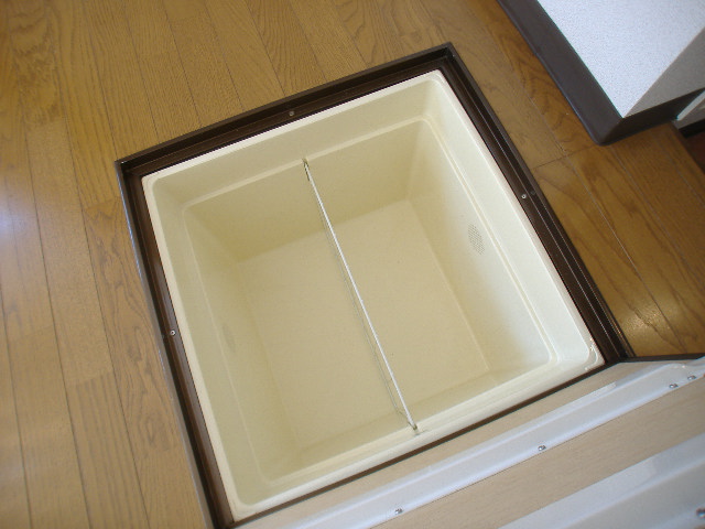 Other. Underfloor Storage