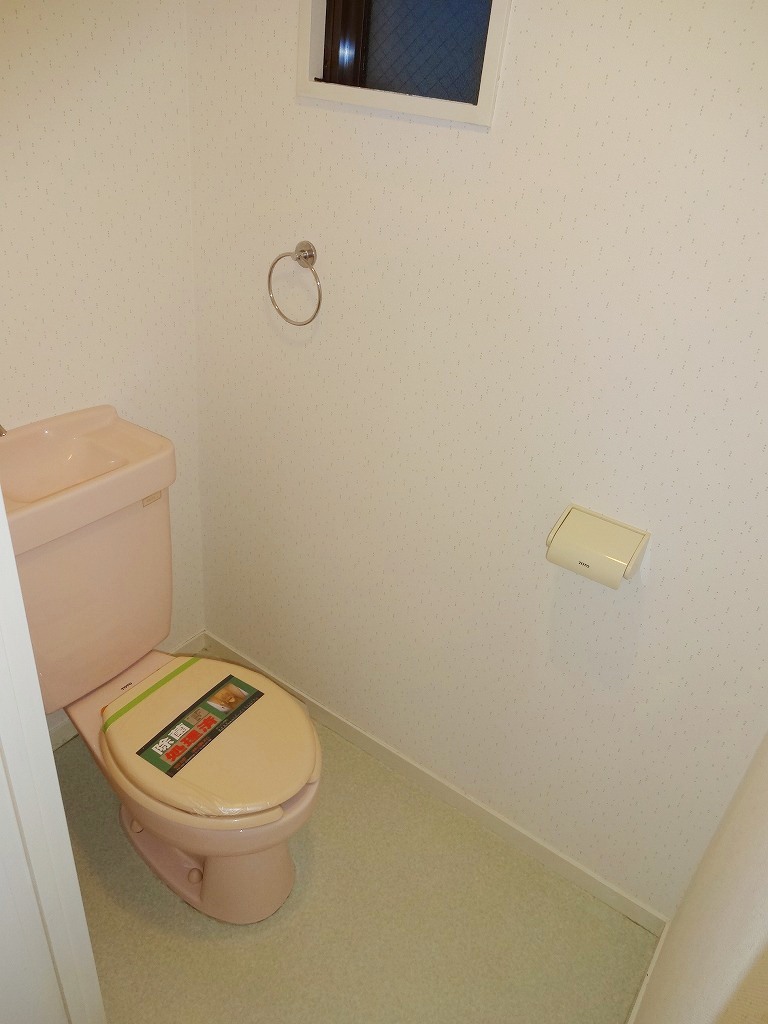 Toilet. Interior reference photograph