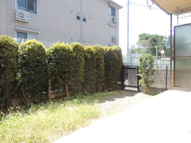 Balcony. Veranda