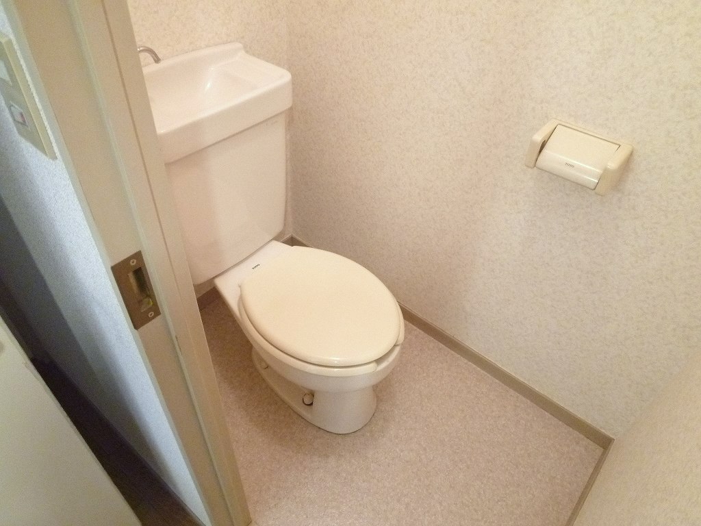 Toilet. Interior reference photograph