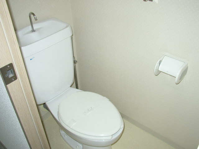 Toilet. It is a photograph of another room