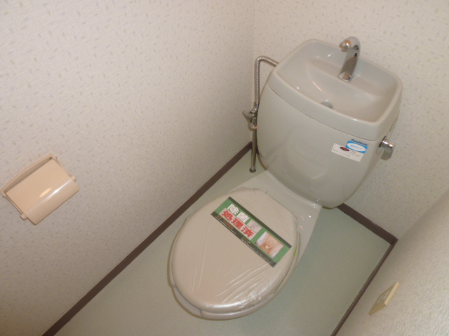 Toilet. It is a photograph of another room of the same type