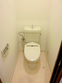 Toilet. Toilet with a wash function